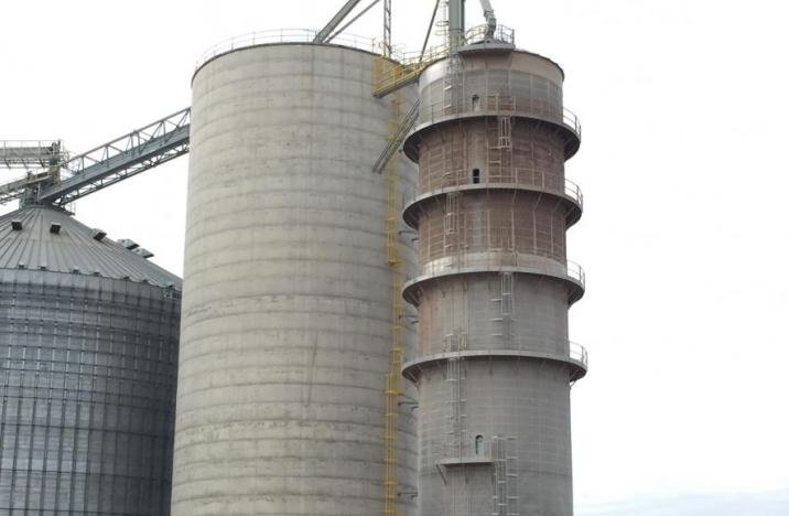 Wet Grain and Drying System